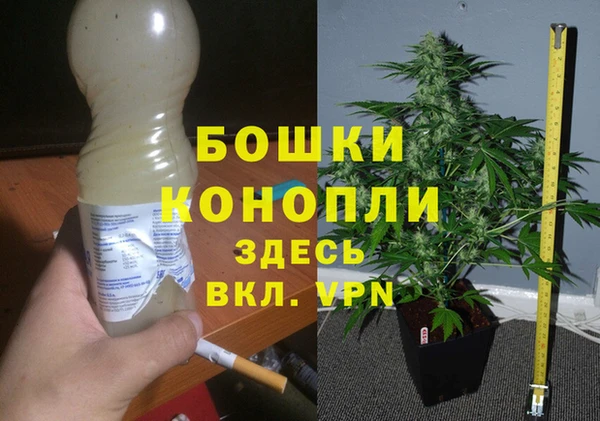 PSILOCYBIN Алексин