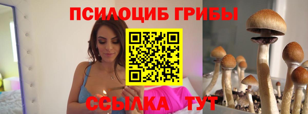 Галлюциногенные грибы мухоморы  Вход с VPN  Чебоксары 